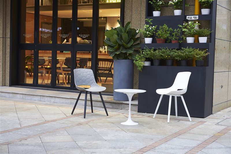 Дизайн північного стилю Звичайний кольорний контраст застосування 台州芽尖 飞越队 林迪...